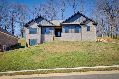 385 Gransley Court Gray Tn 37615, Gray, TN 37615 photo 3