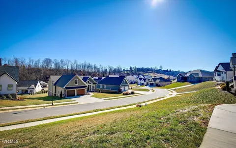 385 Gransley Court Gray Tn 37615, Gray, TN 37615 photo 42
