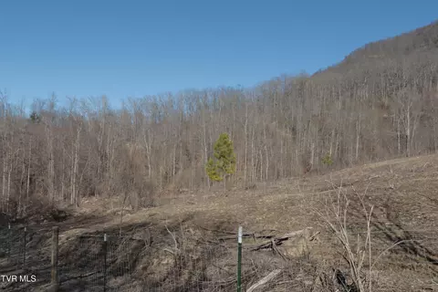 3207 Williams Road Big Stone Gap Va 24219, Big Stone Gap, VA 24219 photo 65