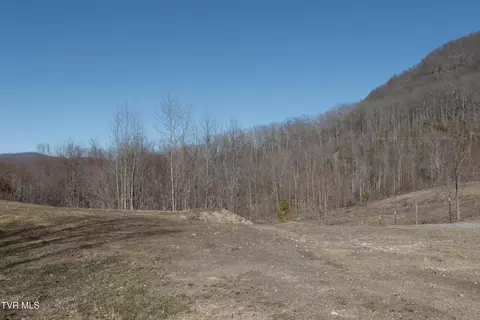 3207 Williams Road Big Stone Gap Va 24219, Big Stone Gap, VA 24219 photo 41