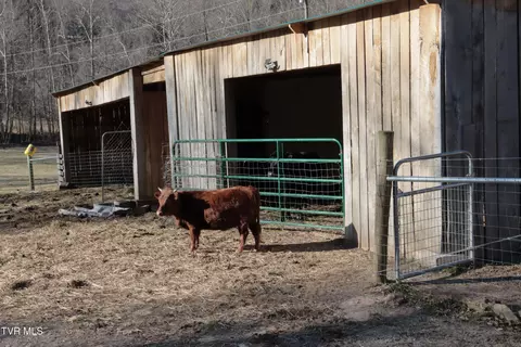3207 Williams Road Big Stone Gap Va 24219, Big Stone Gap, VA 24219 photo 57