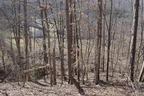 3207 Williams Road Big Stone Gap Va 24219, Big Stone Gap, VA 24219 photo 45