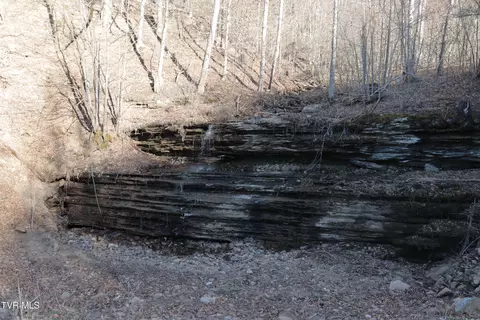 3207 Williams Road Big Stone Gap Va 24219, Big Stone Gap, VA 24219 photo 59