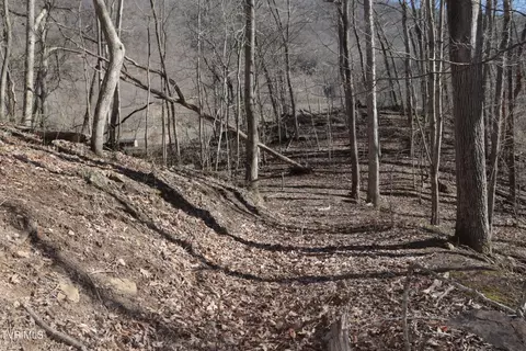 3207 Williams Road Big Stone Gap Va 24219, Big Stone Gap, VA 24219 photo 46