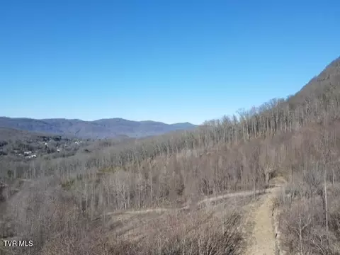 3207 Williams Road Big Stone Gap Va 24219, Big Stone Gap, VA 24219 photo 3