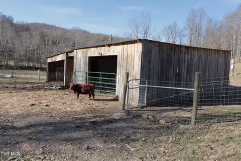 3207 Williams Road Big Stone Gap Va 24219, Big Stone Gap, VA 24219 photo 58