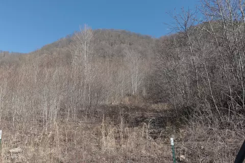 3207 Williams Road Big Stone Gap Va 24219, Big Stone Gap, VA 24219 photo 69