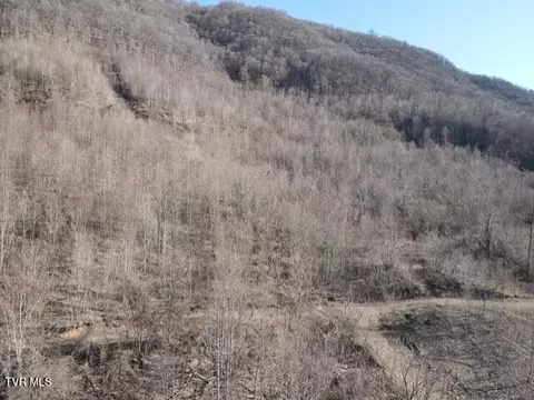 3207 Williams Road Big Stone Gap Va 24219, Big Stone Gap, VA 24219 photo 5