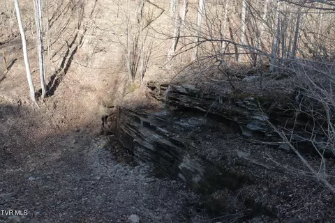 3207 Williams Road Big Stone Gap Va 24219, Big Stone Gap, VA 24219 photo 60