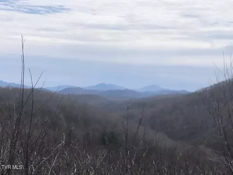 0 Helton Creek Lane Lane White Top Va 24292, White Top, VA 24292