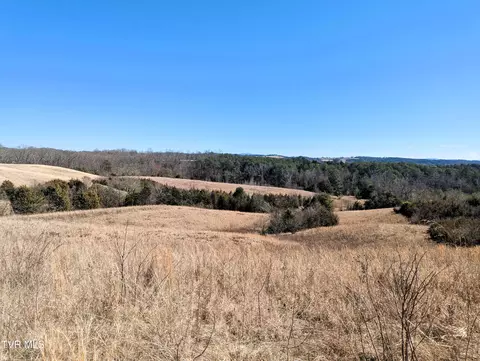 25 1 Acres Turner Hill Road Mosheim Tn 37818, Mosheim, TN 37818