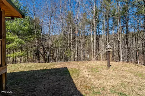 Exterior - 307 Piney Grove Road Hampton Tn 37658, Hampton, TN 37658 photo 5 of 17