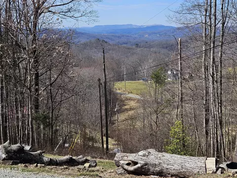 229 Harm Ridge Coeburn Va 24230, Coeburn, VA 24230 photo 40