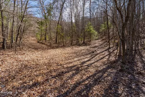 lot134 Callalantee Course Mountain City Tn 37683, Mountain City, TN 37683