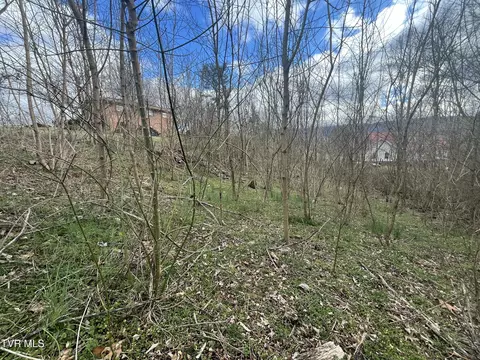0 Jennings Drive Kingsport Tn 37660, Kingsport, TN 37660
