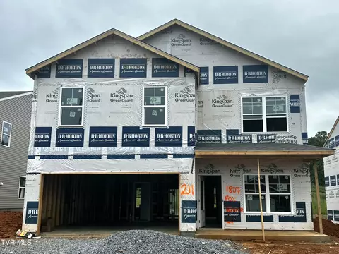 1807 Fox Meadows Circle Bluff City Tn 37618, Bluff City, TN 37618