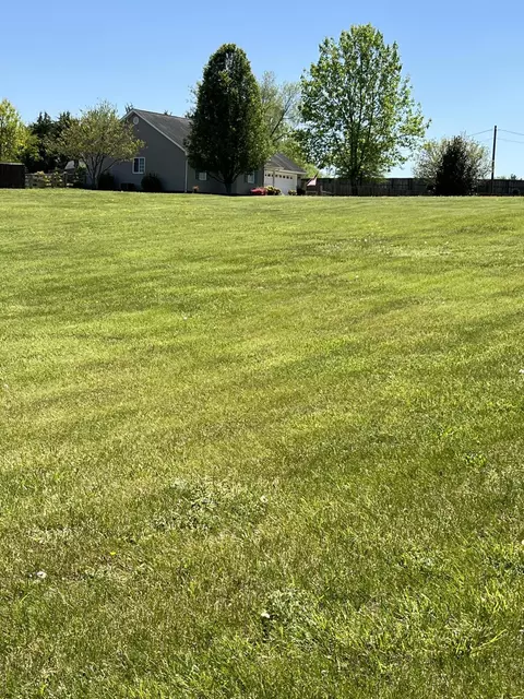 47 Kenzee Place Limestone Tn 37681, Limestone, TN 37681 photo 3
