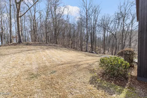 434 Riverview Drive Johnson City Tn 37601, Johnson City, TN 37601 photo 44