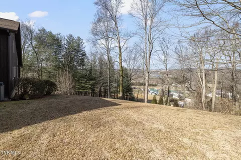 434 Riverview Drive Johnson City Tn 37601, Johnson City, TN 37601 photo 45