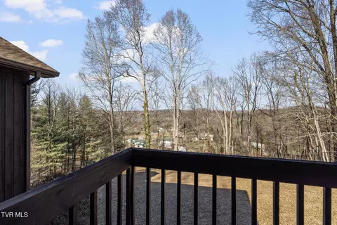 434 Riverview Drive Johnson City Tn 37601, Johnson City, TN 37601 photo 30