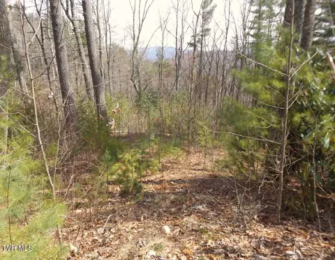 401 Chestnut Lot 54 Circle Butler Tn 37640, Butler, TN 37640