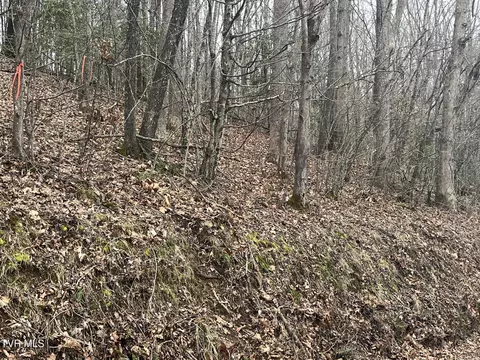 tbd N Dugger Road Butler Tn 37640, Butler, TN 37640
