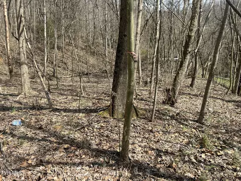 117 Icy Lane Elizabethton Tn 37643, Elizabethton, TN 37643