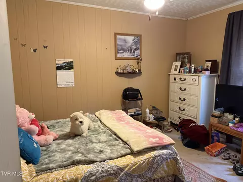 401 N Mohawk Drive Erwin Tn 37650, Erwin, TN 37650 photo 12