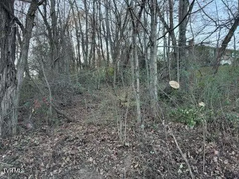 tbd Briscoe Drive Bristol Va 24202, Bristol, VA 24202