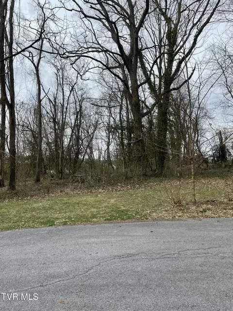 39 Ac Ridgemont Drive Greeneville Tn 37745, Greeneville, TN 37745 photo 8