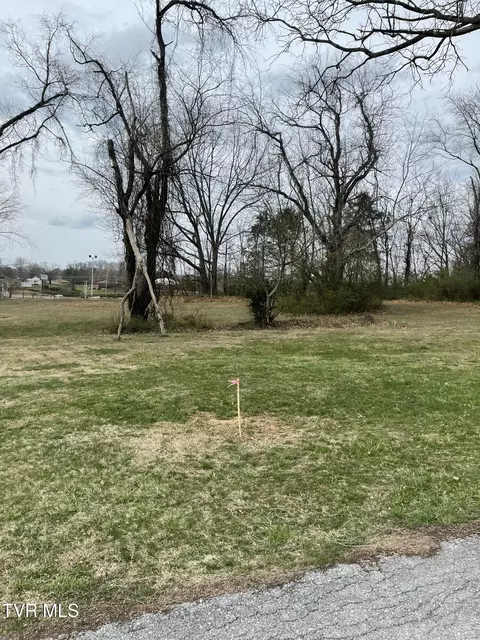39 Ac Ridgemont Drive Greeneville Tn 37745, Greeneville, TN 37745 photo 5