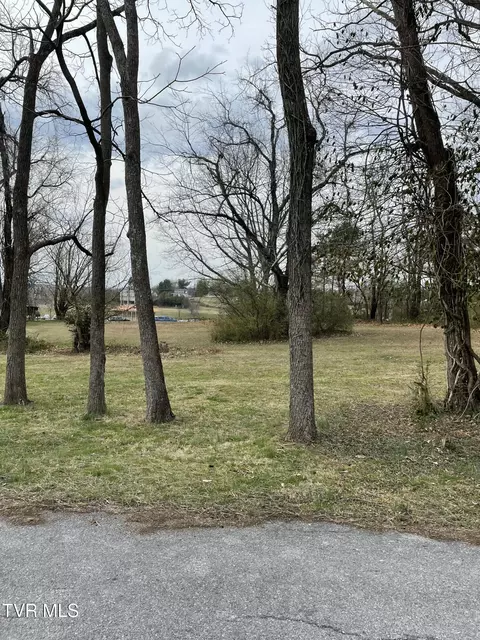 39 Ac Ridgemont Drive Greeneville Tn 37745, Greeneville, TN 37745 photo 6
