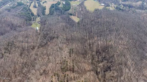 Other - 295 Taylor Road Fall Branch Tn 37656, Fall Branch, TN 37656 photo 23 of 32