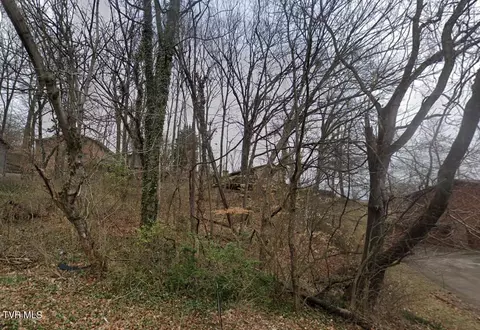 1205 Sharondale Avenue Kingsport Tn 37660, Kingsport, TN 37660