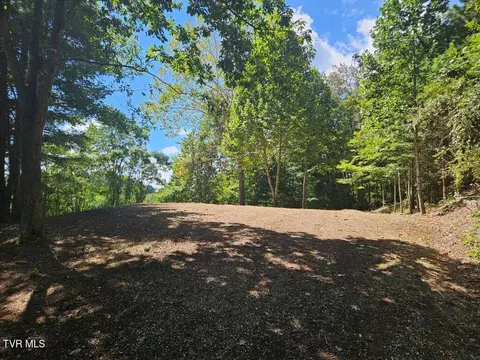 110-114 Lawson Street Cedar Bluff Va 24609, Cedar Bluff, VA 24609
