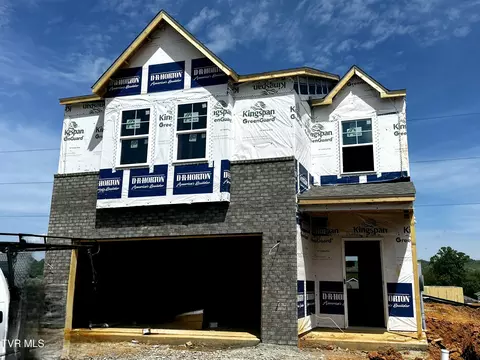 103 Golden Rod Drive Bluff City Tn 37618, Bluff City, TN 37618