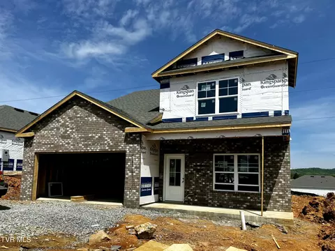 127 Golden Rod Drive Bluff City Tn 37618, Bluff City, TN 37618