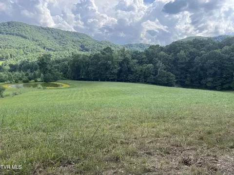 11 Ac Tbd Houston Valley Road Greeneville Tn 37743, Greeneville, TN 37743