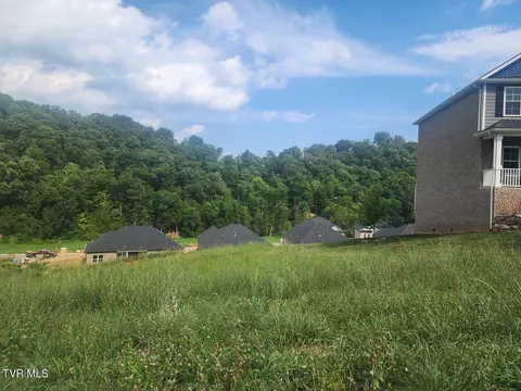 1633 Prospects Way Gray Tn 37615, Gray, TN 37615