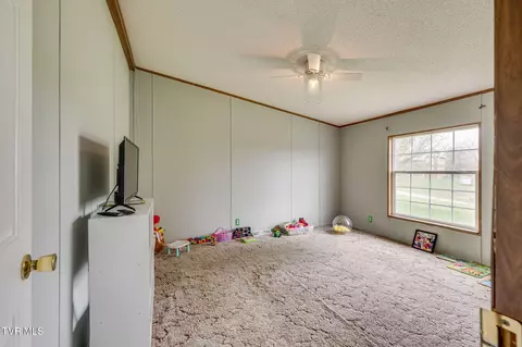 288 Pendleton Smith Road Chuckey Tn 37641, Chuckey, TN 37641 photo 23