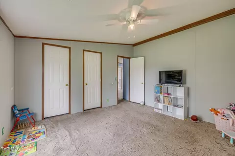 288 Pendleton Smith Road Chuckey Tn 37641, Chuckey, TN 37641 photo 24