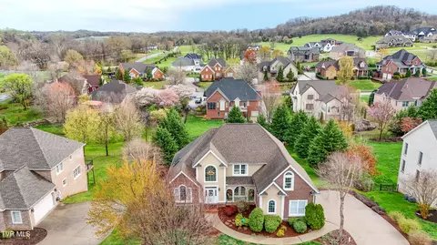 View/Area - 1005 Willows Trace Drive Johnson City Tn 37601, Johnson City, TN 37601 photo 7 of 13