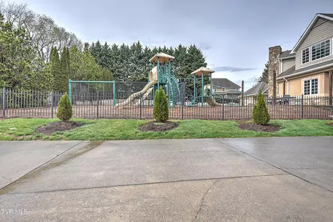 Exterior - 1005 Willows Trace Drive Johnson City Tn 37601, Johnson City, TN 37601 photo 20 of 23