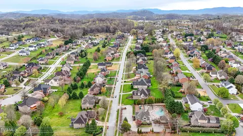 View/Area - 1005 Willows Trace Drive Johnson City Tn 37601, Johnson City, TN 37601 photo 3 of 13