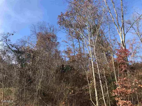 212 Austin Drive Rogersville Tn 37857, Rogersville, TN 37857