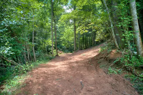 Other - 565 Piney Grove Road Hampton Tn 37658, Hampton, TN 37658 photo 9 of 18