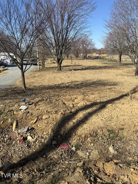 564 Aj Willis Road Jonesborough Tn 37659, Jonesborough, TN 37659