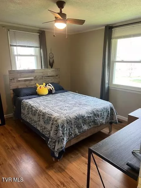 Bedroom - 1075 Rock Creek Road Erwin Tn 37650, Erwin, TN 37650 photo 4 of 4