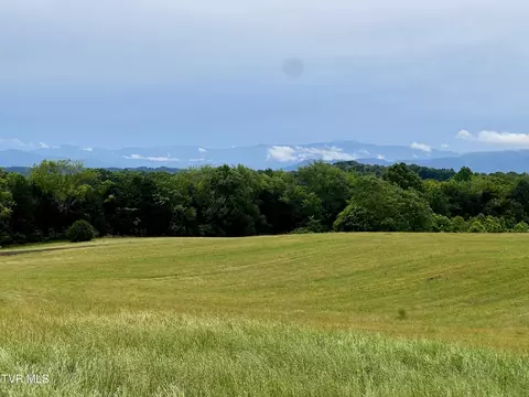 58 Ac Tbd River View Drive 2 Morristown Tn 37813, Morristown, TN 37813