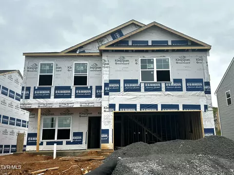 100 Golden Rod Drive Bluff City Tn 37618, Bluff City, TN 37618